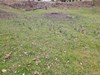 Listing Photo 51836